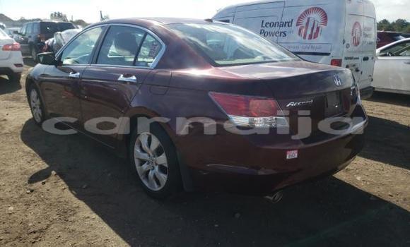 Acheter Neuf Voiture Honda Accord Rouge à Badagry, État de Lagos Acheter Neuf Voiture Honda Accord Rouge à Badagry, État de Lagos