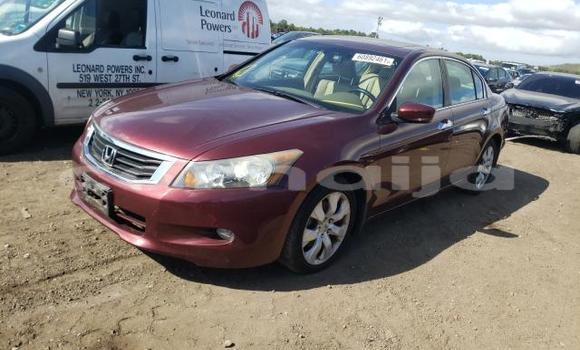Acheter Neuf Voiture Honda Accord Rouge à Badagry, État de Lagos Acheter Neuf Voiture Honda Accord Rouge à Badagry, État de Lagos