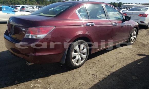 Acheter Neuf Voiture Honda Accord Rouge à Badagry, État de Lagos Acheter Neuf Voiture Honda Accord Rouge à Badagry, État de Lagos