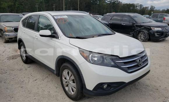 Buy New Honda CR–V White Car in Badagry in Lagos State