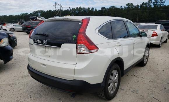 Buy New Honda CR–V White Car in Badagry in Lagos State Buy New Honda CR–V White Car in Badagry in Lagos State