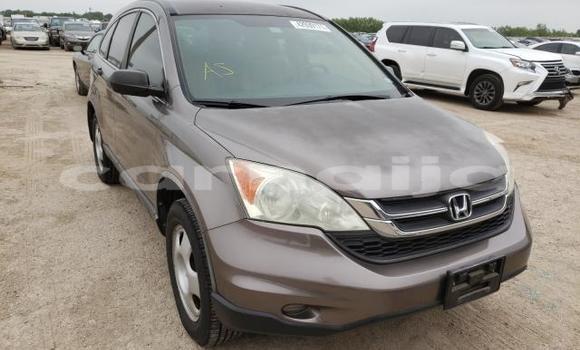 Acheter Neuf Voiture Honda CR–V Marron à Badagry, État de Lagos