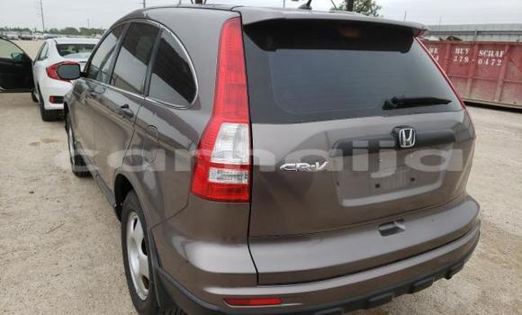 Acheter Neuf Voiture Honda CR–V Marron à Badagry, État de Lagos Acheter Neuf Voiture Honda CR–V Marron à Badagry, État de Lagos