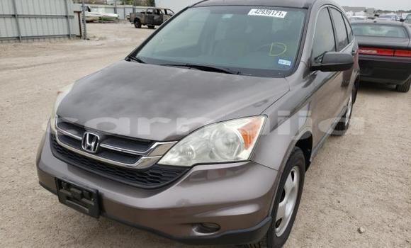 Acheter Neuf Voiture Honda CR–V Marron à Badagry, État de Lagos Acheter Neuf Voiture Honda CR–V Marron à Badagry, État de Lagos