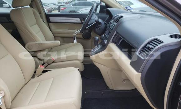 Acheter Neuf Voiture Honda CR–V Marron à Badagry, État de Lagos Acheter Neuf Voiture Honda CR–V Marron à Badagry, État de Lagos