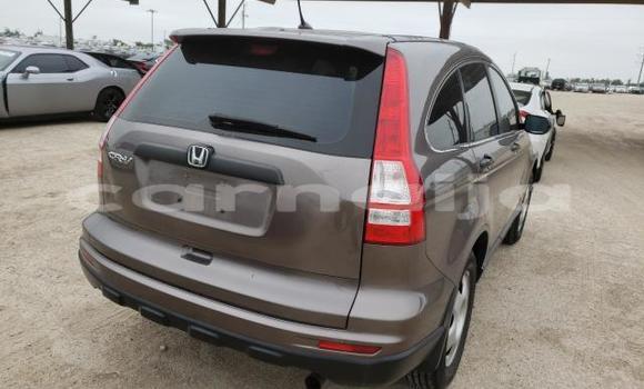 Acheter Neuf Voiture Honda CR–V Marron à Badagry, État de Lagos Acheter Neuf Voiture Honda CR–V Marron à Badagry, État de Lagos