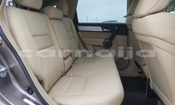 Acheter Neuf Voiture Honda CR–V Marron à Badagry, État de Lagos Acheter Neuf Voiture Honda CR–V Marron à Badagry, État de Lagos