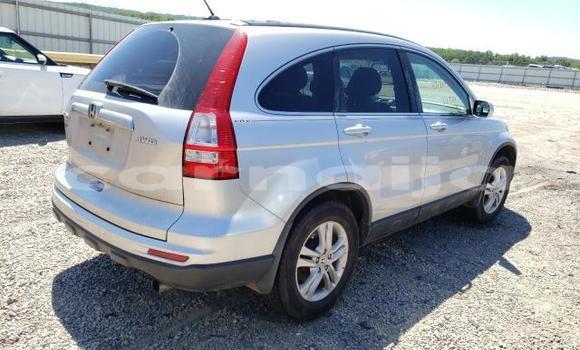 Buy New Honda CR–V Silver Car in Badagry in Lagos State Buy New Honda CR–V Silver Car in Badagry in Lagos State