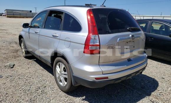 Buy New Honda CR–V Silver Car in Badagry in Lagos State Buy New Honda CR–V Silver Car in Badagry in Lagos State