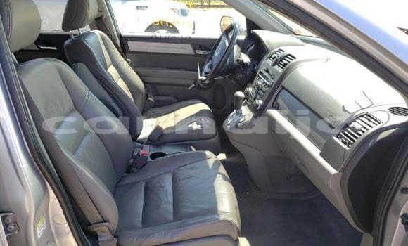 Buy New Honda CR–V Silver Car in Badagry in Lagos State Buy New Honda CR–V Silver Car in Badagry in Lagos State