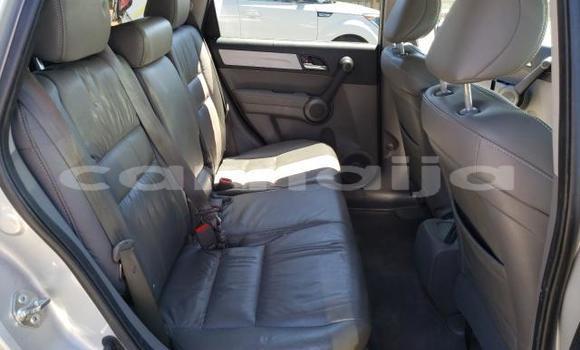 Buy New Honda CR–V Silver Car in Badagry in Lagos State Buy New Honda CR–V Silver Car in Badagry in Lagos State