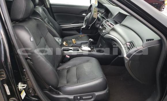 Acheter Neuf Voiture Honda Crosstour Noir à Badagry, État de Lagos Acheter Neuf Voiture Honda Crosstour Noir à Badagry, État de Lagos