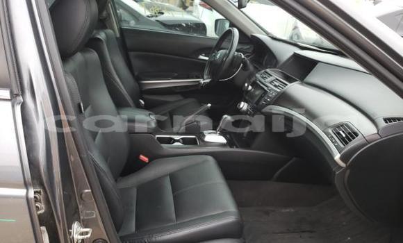 Acheter Neuf Voiture Honda Crosstour Marron à Badagry, État de Lagos Acheter Neuf Voiture Honda Crosstour Marron à Badagry, État de Lagos