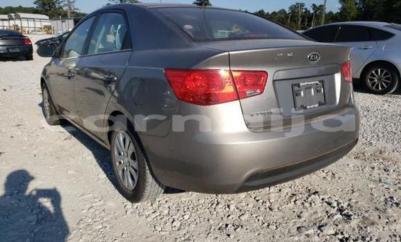 Acheter Neuf Voiture Kia Forte Marron à Badagry, État de Lagos Acheter Neuf Voiture Kia Forte Marron à Badagry, État de Lagos