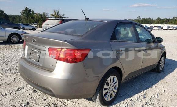 Acheter Neuf Voiture Kia Forte Marron à Badagry, État de Lagos Acheter Neuf Voiture Kia Forte Marron à Badagry, État de Lagos