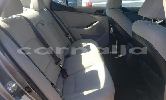 Buy New Kia Optima Brown Car in Badagry in Lagos State Buy New Kia Optima Brown Car in Badagry in Lagos State