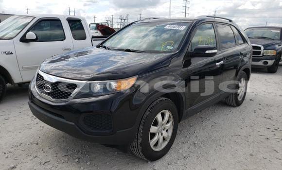 Buy New Kia Sorento Black Car in Badagry in Lagos State Buy New Kia Sorento Black Car in Badagry in Lagos State