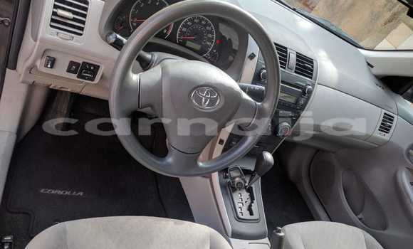 Buy Used Toyota Corolla Other Car in Lagos in Lagos State Buy Used Toyota Corolla Other Car in Lagos in Lagos State