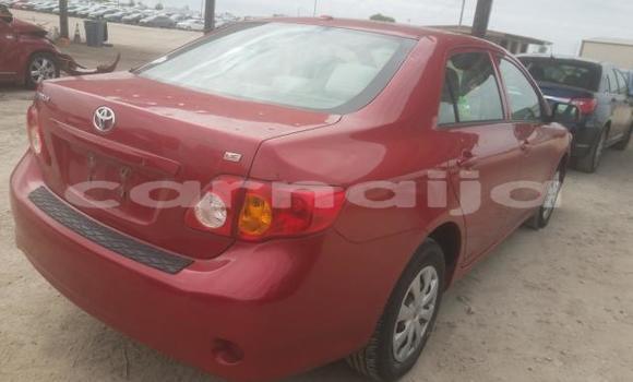 Acheter Import Voiture Toyota Corolla Autre à Lagos, État de Lagos Acheter Import Voiture Toyota Corolla Autre à Lagos, État de Lagos