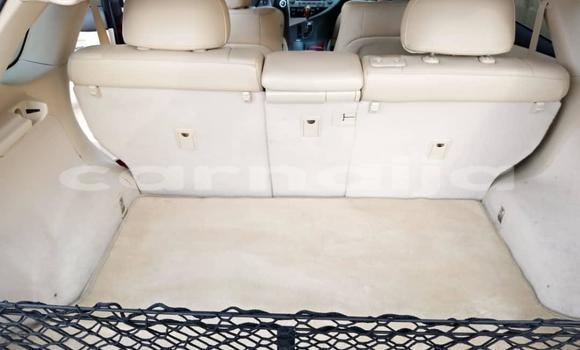 Buy Used Lexus RX 330 Red Car in Lagos in Lagos State Buy Used Lexus RX 330 Red Car in Lagos in Lagos State