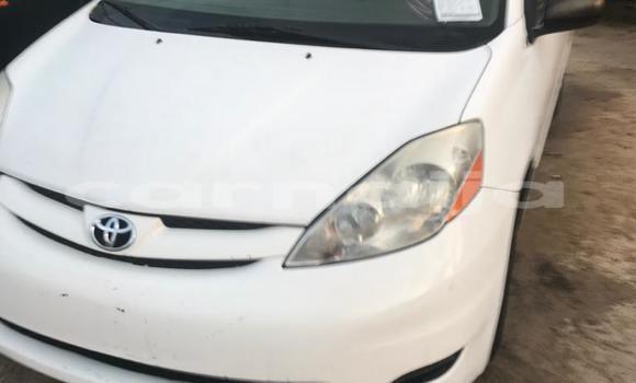 Buy Used Toyota Sienna White Car in Abuja in Lagos State