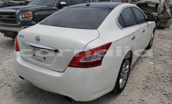 Buy New Nissan Maxima White Car in Badagry in Lagos State Buy New Nissan Maxima White Car in Badagry in Lagos State