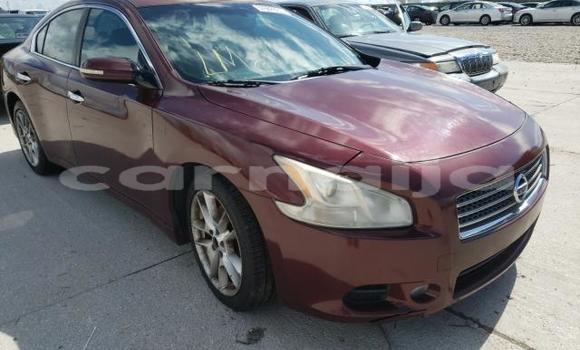 Buy New Nissan Maxima Red Car in Badagry in Lagos State