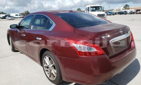 Acheter Neuf Voiture Nissan Maxima Rouge à Badagry, État de Lagos Acheter Neuf Voiture Nissan Maxima Rouge à Badagry, État de Lagos