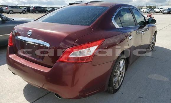 Acheter Neuf Voiture Nissan Maxima Rouge à Badagry, État de Lagos Acheter Neuf Voiture Nissan Maxima Rouge à Badagry, État de Lagos