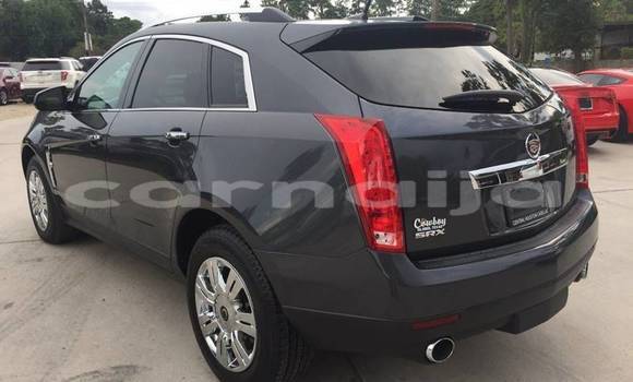 Acheter Import Voiture Cadillac SRX Autre à Abuja, État de Lagos Acheter Import Voiture Cadillac SRX Autre à Abuja, État de Lagos