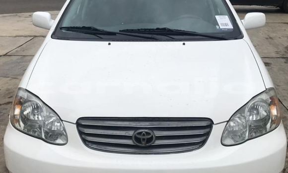 Acheter Occasion Voiture Toyota Corolla Blanc à Badagry, État de Lagos Acheter Occasion Voiture Toyota Corolla Blanc à Badagry, État de Lagos