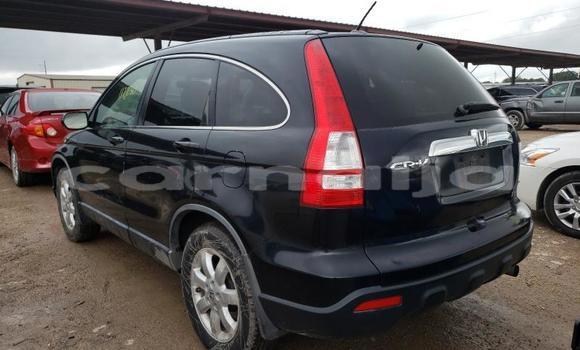 Buy Used Honda CR–V Other Car in Lagos in Lagos State Buy Used Honda CR–V Other Car in Lagos in Lagos State