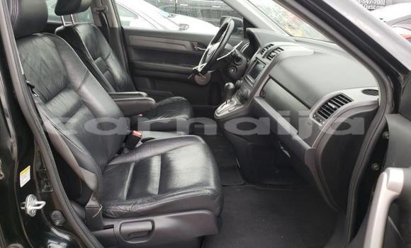 Buy Used Honda CR–V Other Car in Lagos in Lagos State Buy Used Honda CR–V Other Car in Lagos in Lagos State