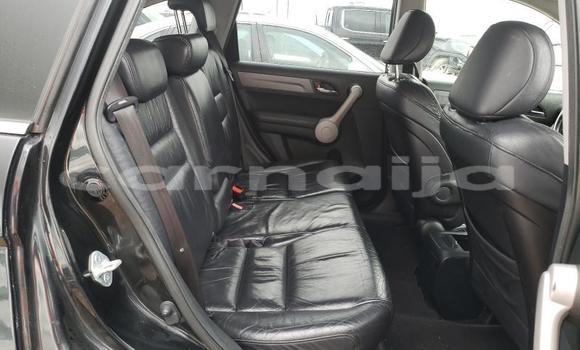 Buy Used Honda CR–V Other Car in Lagos in Lagos State Buy Used Honda CR–V Other Car in Lagos in Lagos State
