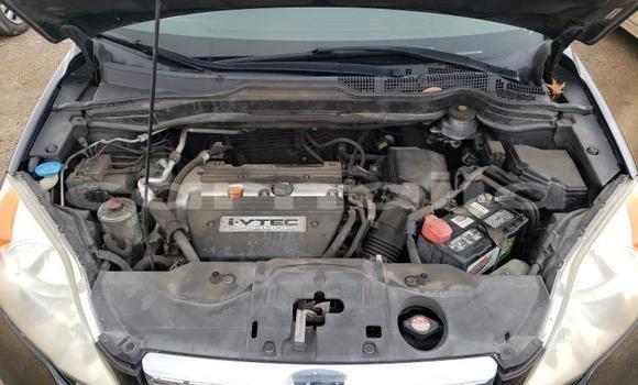 Buy Used Honda CR–V Other Car in Lagos in Lagos State Buy Used Honda CR–V Other Car in Lagos in Lagos State