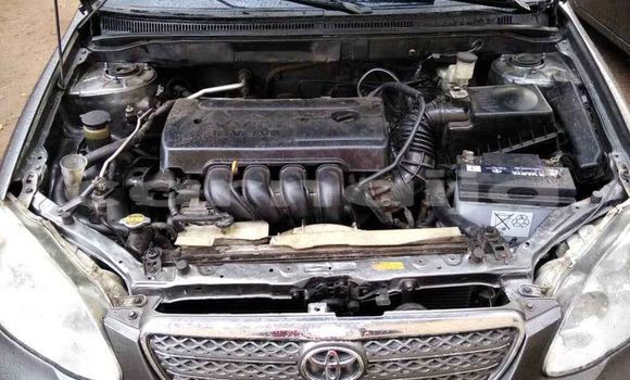 Acheter Occasion Voiture Toyota Corolla Autre à Aba, État d'Abia Acheter Occasion Voiture Toyota Corolla Autre à Aba, État d'Abia