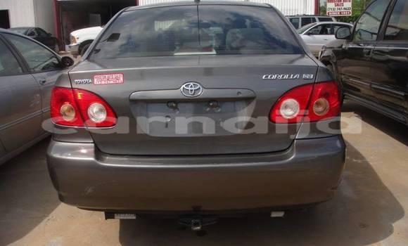 Buy Used Toyota Corolla Other Car in Lagos in Lagos State Buy Used Toyota Corolla Other Car in Lagos in Lagos State
