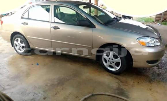 Acheter Import Voiture Toyota Corolla Marron à Makoda, Kano Acheter Import Voiture Toyota Corolla Marron à Makoda, Kano