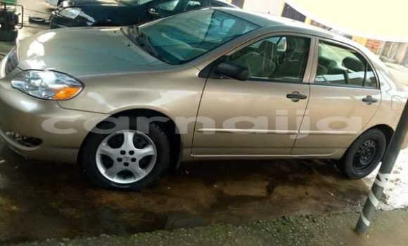 Acheter Import Voiture Toyota Corolla Marron à Makoda, Kano Acheter Import Voiture Toyota Corolla Marron à Makoda, Kano