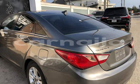 Acheter Import Voiture Hyundai Sonata Beige à Lagos, État de Lagos Acheter Import Voiture Hyundai Sonata Beige à Lagos, État de Lagos