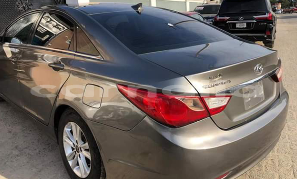 Acheter Import Voiture Hyundai Sonata Beige à Lagos, État de Lagos Acheter Import Voiture Hyundai Sonata Beige à Lagos, État de Lagos