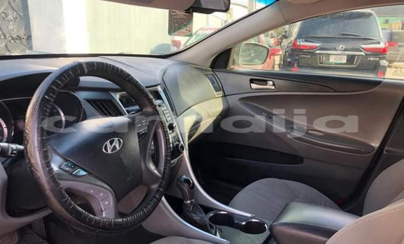 Acheter Import Voiture Hyundai Sonata Beige à Lagos, État de Lagos Acheter Import Voiture Hyundai Sonata Beige à Lagos, État de Lagos