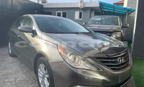Acheter Import Voiture Hyundai Sonata Beige à Lagos, État de Lagos Acheter Import Voiture Hyundai Sonata Beige à Lagos, État de Lagos