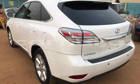 Buy Import Lexus RX 350 White Car in Calabar in Cross River State Buy Import Lexus RX 350 White Car in Calabar in Cross River State