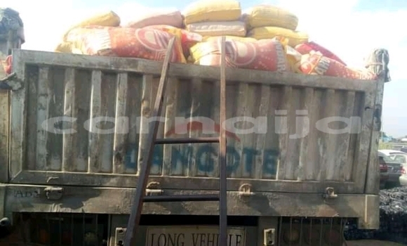 Acheter Neuf Voiture Volkswagen Golf Autre à Abuja, État de Lagos Acheter Neuf Voiture Volkswagen Golf Autre à Abuja, État de Lagos