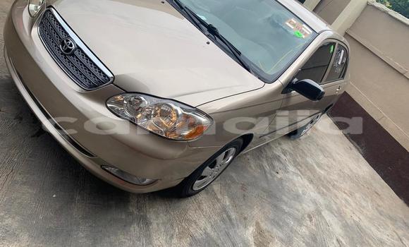 Acheter Neuf Voiture Toyota Corolla Autre à Abuja, État de Lagos Acheter Neuf Voiture Toyota Corolla Autre à Abuja, État de Lagos
