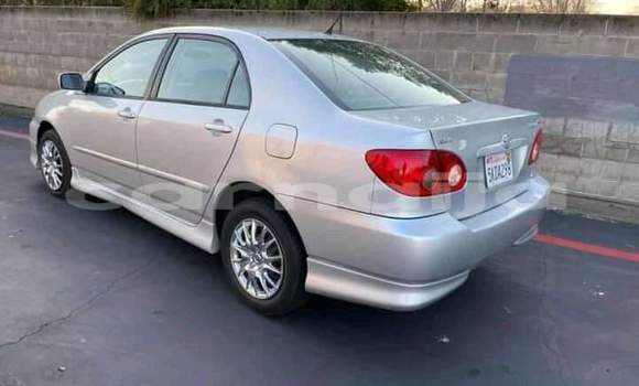 Acheter Import Voiture Toyota Corolla Gris à Abuja, État de Lagos Acheter Import Voiture Toyota Corolla Gris à Abuja, État de Lagos