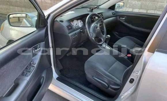 Acheter Import Voiture Toyota Corolla Gris à Abuja, État de Lagos Acheter Import Voiture Toyota Corolla Gris à Abuja, État de Lagos