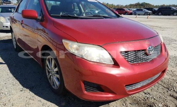 Buy New Toyota Corolla Red Car in Badagry in Lagos State