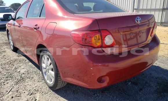 Acheter Neuf Voiture Toyota Corolla Rouge à Badagry, État de Lagos Acheter Neuf Voiture Toyota Corolla Rouge à Badagry, État de Lagos